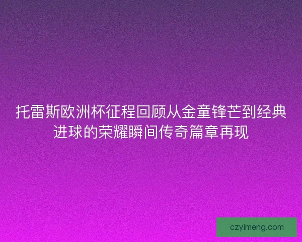 托雷斯欧洲杯征程回顾从金童锋芒到经典进球的荣耀瞬间传奇篇章再现